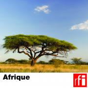 RFI_002 Africa_fr.jpg