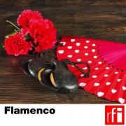 RFI_040 Flamenco_en.jpg