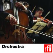 RFI_028 Orchestra.jpg