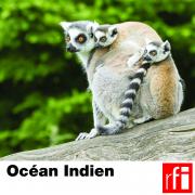 RFI_044 Indian Ocean_fr.jpg